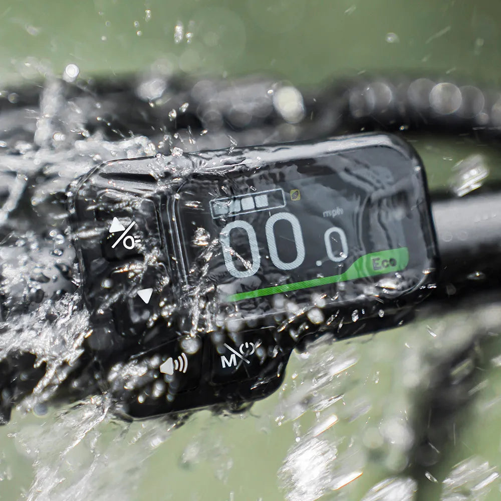 Fiido D3 Pro Mini Electric Bike