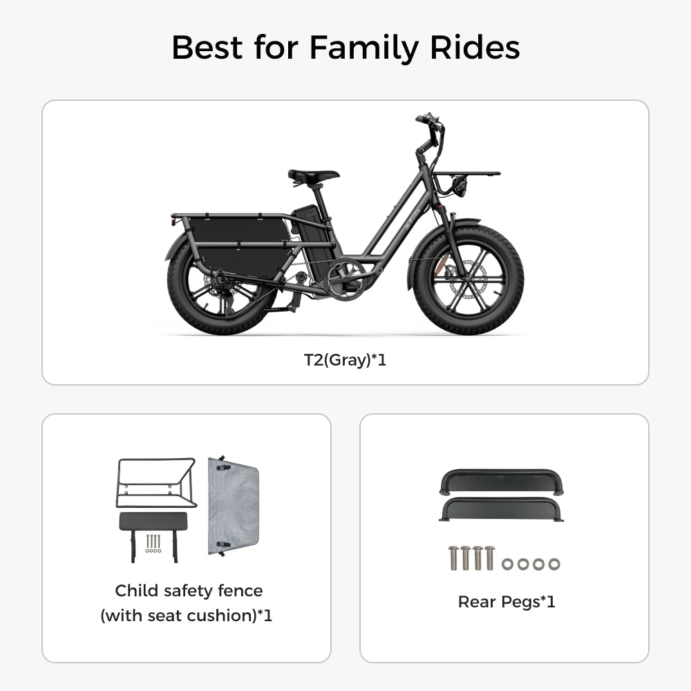 Fiido T2 Longtail Cargo E-bike