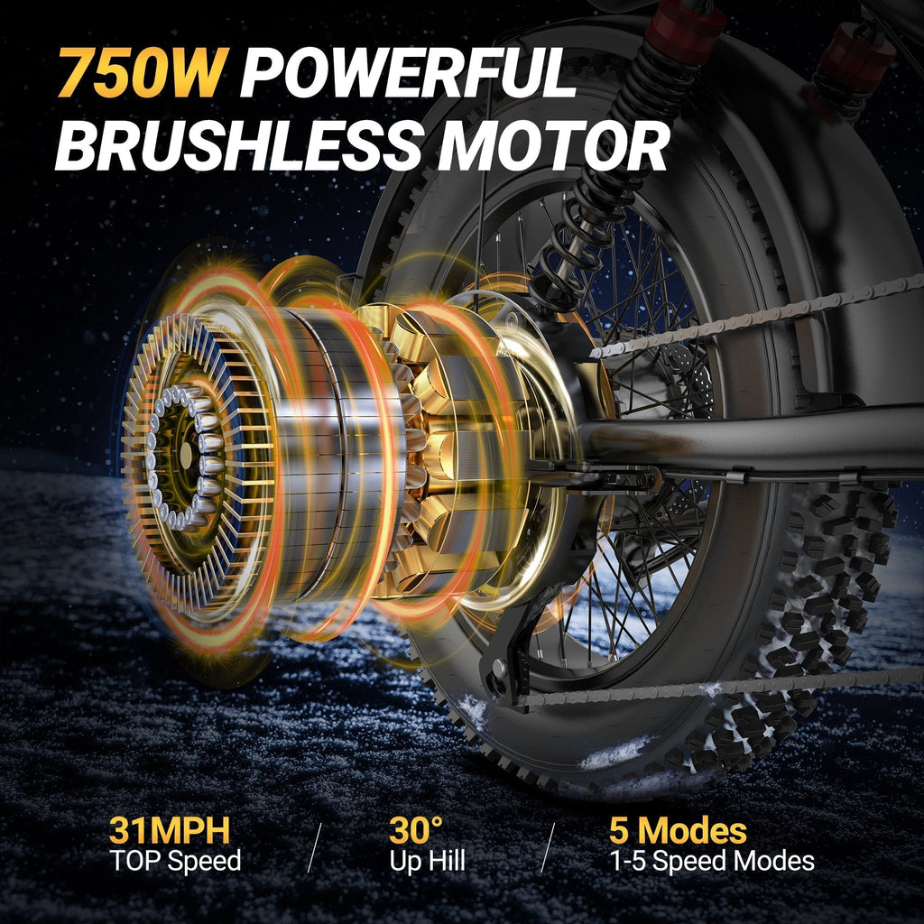 Brand New Qlaway BK20 for Adults 48V 15.6AH Battery 750W Brushless Motor