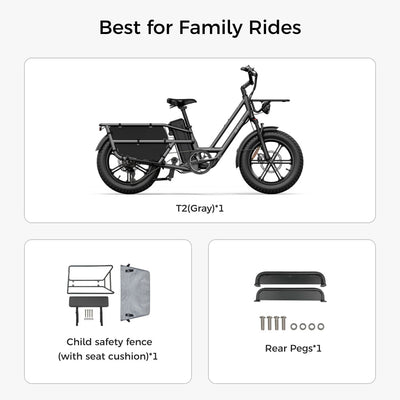 Fiido T2 Longtail Cargo E-bike
