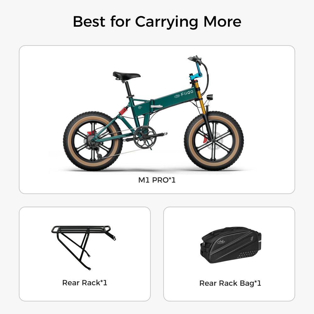 Fiido M1 Pro Fat Tire Electric Bike