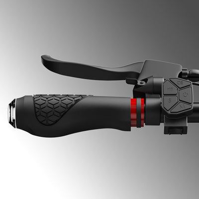 iScooter iX7Pro 2000W Off Road Electric Scooter
