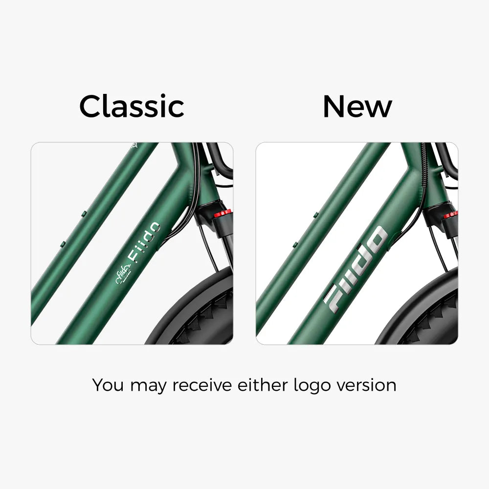 Fiido T2 Longtail Cargo E-bike