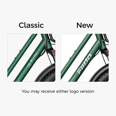 Fiido T2 Longtail Cargo E-bike
