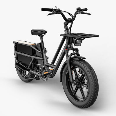 Fiido T2 Longtail Cargo E-bike